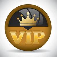 Lien exclusif VIP pour les anciens clients / S'applique pour combler la différence / Acompte, paiement final, frais de service personnalisés