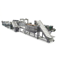 Commerciële automatische besturing, hoge prestaties, groenten, fruit, vis, aardappelchips, friet, wassen, blancheren, frituren