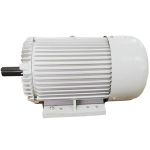 มอเตอร์ไฟฟ้ากระแสสลับสามเฟส 6 โพล 230-460/796V 1200 รอบต่อนาที 100 แรงม้า 60 เฮิรตซ์ IP55 TEFC สายทองแดง - Product Image 1