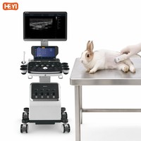 Appareil d'échographie vétérinaire professionnel pour animaux exotiques (lapins, reptiles, oiseaux) HEYI P70vet, sonde linéaire, écran HD 21,5 pouces, classe II