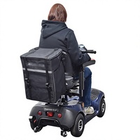 Organisateur de fauteuil roulant en nylon isolé 30-40L, grande capacité, rangement pour dossier et accoudoir, panier de voyage, logo personnalisé
