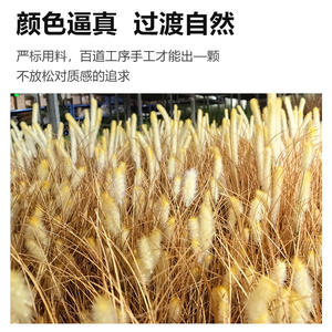 Planta Artificial de Césped con Cola de Conejo, 50cm 70cm, Flor de Base de Alta Simulación, Realista, Decoración Interior y Exterior - Product Image 5