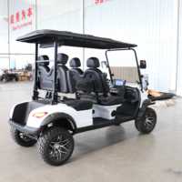 Voiture de golf électrique 4 places tout-en-un, style, vitesse, confort, avec moteur 5 kW, autonomie de 90 km, cadre en aluminium et porte-bagages arrière