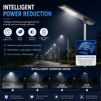 Farola LED Solar DC con Certificación IP66, CCC, CE y RoHS, Batería Lifepo4, Aluminio, Garantía de 5 Años, 130W, Ángulo de Haz de 120° para Carreteras
