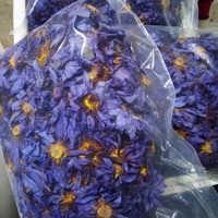 Tisane séchée au lotus bleu biologique fraîchement traitée en vrac pour un plaisir quotidien et des moments de détente