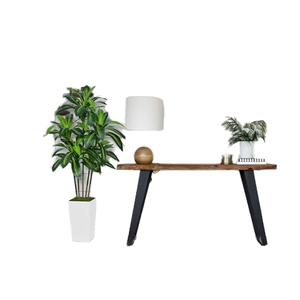 Factory <b>Plastic</b> Artificial Flower Dracaena <b>Plants</b> Outdoor Hotel and Family Wedding Decoration Planted - Product Image 3