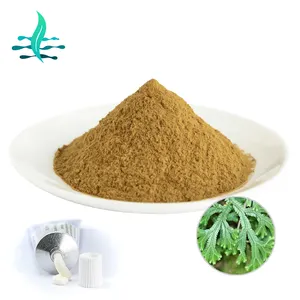 Natural Selaginella extract Selaginella Tamariscina Extract for Skin care