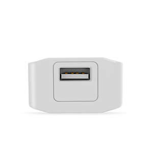 2020 tragbare ladegerät einzel USB reise ladegerät 2,1 <span class=keywords><strong>A</strong></span> adapter für lithium-batterie Stirn gun - Product Image 3