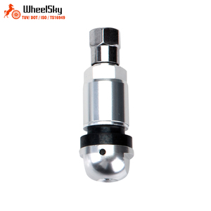 <span class=keywords><strong>Capteur</strong></span> TPMS sans chambre à air en alliage d'aluminium Wheelsky pour système <span class=keywords><strong>de</strong></span> surveillance <span class=keywords><strong>de</strong></span> la <span class=keywords><strong>pression</strong></span> des pneus - Product Image 4
