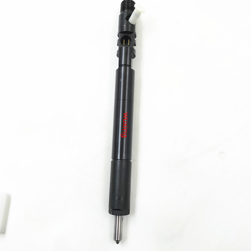 common fuel injector fuel injector EJBR04501D EJBR04401D EJBR4901D for Delphi engine