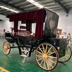 Carruajes de caballos para turismo al aire libre, ideales para recorridos turísticos, carruajes de caballos eléctricos para turismo en venta. - Product Image 1