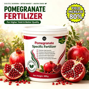 Fertilizante Compuesto NPK Específico para Granadas de 500g, Equilibrado, Estimula el Crecimiento de Raíces, Tamaño de Fruta, Dulzura y Color para Huertos/Granjas - Product Image 3