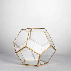 Terrarium géométrique en verre Petites vitrines de reptiles en acrylique pour <span class=keywords><strong>la</strong></span> maison <span class=keywords><strong>Jardin</strong></span> Décoratif <span class=keywords><strong>Zoo</strong></span> Acro Repti <span class=keywords><strong>Zoo</strong></span> Floor Usage - Product Image 4