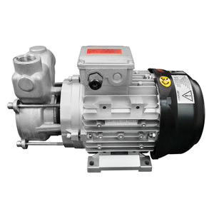 Bomba Vortex de Acero Inoxidable 304 con Motor Monofásico, Bomba Eléctrica para Agua y Aceite Caliente con Altura de Elevación de 50m, Modelos LN370LN750LN1100LN1500LN2200LN3000 - Product Image 1