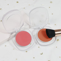 Fard à joues en poudre minérale végétalienne, fini transparent givré, en contenant individuel, palette de fards à joues, personnalisable avec logo ODM