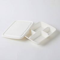 Barquette alimentaire scellable en pulpe de papier naturelle de canne à sucre, durable, jetable, biodégradable, écologique, blanche, à 5 compartiments, pour fêtes