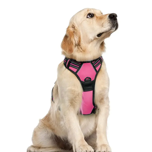 OEM özel lüks Pet köpek eğitim koşum seti geri çekilebilir yaka tasma baskılı desen köpek tasması ve tel tasma ile - Product Image 3