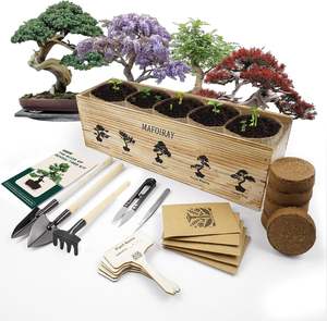 Kit de démarrage d'arbre bonsaï <span class=keywords><strong>japonais</strong></span> <span class=keywords><strong>petit</strong></span> <span class=keywords><strong>jardin</strong></span> intérieur écologique pour la maison ferme conception sol utilisation Pots outils de jardinière - Product Image 1