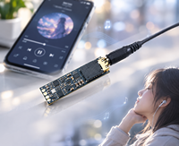 Amplificateur DAC portable avec écran OLED, double amplificateur de casque HiFi CS43198 et double amplificateur de casque HiFi RT6863