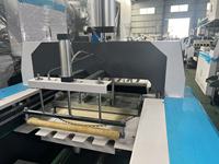 Machine de fabrication de sacs en plastique pour fruits en polyéthylène d'occasion, entièrement automatique, PE biodégradable