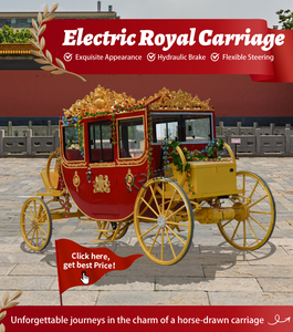 Nouvelle annonce : élégante calèche électrique royale <span class=keywords><strong>à</strong></span> <span class=keywords><strong>4</strong></span> roues, capacité de <span class=keywords><strong>4</strong></span> <span class=keywords><strong>à</strong></span> 6 places, couleur personnalisable, <span class=keywords><strong>à</strong></span> <span class=keywords><strong>vendre</strong></span> - Product Image 3