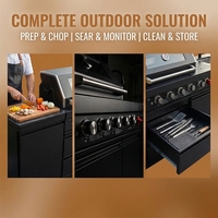 Entrega Rápida en 7 Días en EE. UU., Gabinetes de Cocina Exteriores de Acero Inoxidable 304 Youya, Parrilla para Barbacoa, Cocina Móvil Modular para Exteriores