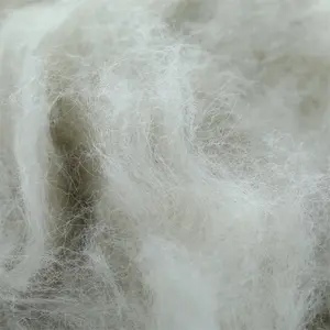 China Vervaardigen Natuurlijke Witte 100 Kasjmier Wol Pure Kasjmier Vezels Voor Sjaal Spinning