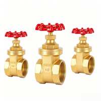 Vanne à opercule manuelle en laiton, pour l'alimentation en eau et le drainage, PN16, OEM et OBM disponibles
