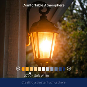 Para UL 500 LM 4W (equivalente a 40W) Dusk Dawn Photocell Sensor LED Bombillas 2700K E12 Edison Filamento Candelabro para iluminación de porche - Product Image 6