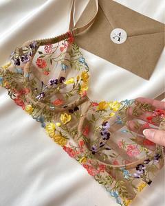 Set di Lingerie Sexy Brasiliana con Reggiseno in Pizzo, Marca Popolare Europea e Americana, Moda 2022 - Product Image 4