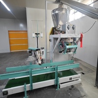 Machine d'emballage de poudre à vis spirale de haute précision en SUS304/316 de qualité alimentaire pour le remplissage de 5 à 50 kg de farine, de blé, de manioc et de poudre de calcium