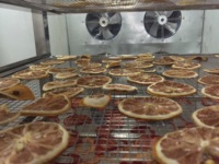 KINKAI Lage Prijs Hoge Efficiëntie Commerciële Dehydrator Fruit- en Groente Droogmachine voor Citroendroogapparatuur