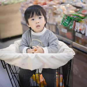 Housse de chaise haute et de chariot d'épicerie INS, tapis de chariot de courses pour bébé fille/garçon, accessoire de siège de <span class=keywords><strong>restaurant</strong></span> - Product Image 5