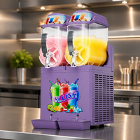 Machine à slush commerciale à double cuve 220V, 2 réservoirs, pour boissons glacées, idéale pour les salons de thé et les magasins de proximité