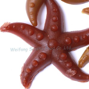 Venta al por mayor de golosinas para perros orgánicas prensadas con forma de estrella de mar, golosinas para mascotas - Product Image 4