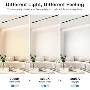 Wholesale Hot Sale Modern 48V Magnetic Track System Surface Mounted Spot Lamp <b>Linear</b> <b>Light</b> LED for Home - Product Image 4