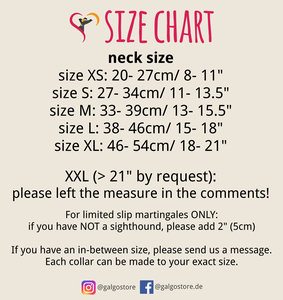 Estrellas y rayas patrióticas del perro, 4 de Julio Martingala o collar con hebilla, Collar de galgo/El cachorro orgulloso - Product Image 3