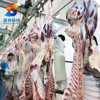 Système de levage automatique des bovins pour abattoir de bétail, machine d'abattage du bétail