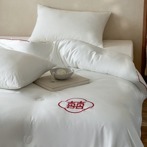 Aolei Wedding <b>Quilt</b> Tencel Cotton Embroidered 4-5 Jin Four Seasons Home Use - Product Image 3