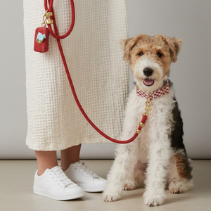Guinzaglio per Cani Personalizzato con Logo, Set Premium di Lusso con Corda Morbida e Sacchetto per Escrementi - Product Image 5