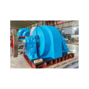 Attractive Price Mixed Flow Type Hydroelectric Power Generation Unit 300W Stable Operation Mini Water Turbine for Sale