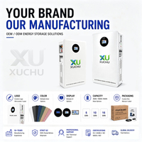 Batterie au lithium LiFePO4 SWA de haute qualité 51,2 V 100 Ah-300 Ah 5-15 kWh avec BMS intégré, 6000 cycles, garantie 10 ans, solaire 0-55°C