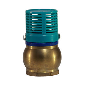 Clapet de pied en laiton-plastique Dn32 - Product Image 1