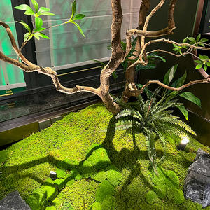 Q-158 2024 Árboles Decorativos Artificiales al por Mayor, Árboles de Caballo <span class=keywords><strong>Borracho</strong></span> para Decoración de Ventanas, Plantas de Paisajismo, Plantas Verdes Simuladas para Interiores - Product Image 5