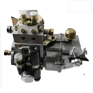 TY295I, TY2100I (Xingtai 220/224) tractor fuel Injection pump 2185ER