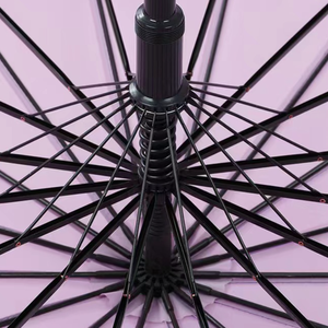 Nouvelle conception Parapluie droit télescopique en pongé 190T avec poignée en EVA Couleur personnalisée Anti-goutte Coupe-vent Parapluie long pour femmes - Product Image 6