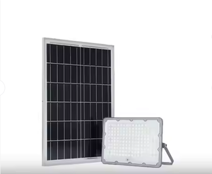 TLC Vietnam 100W MAX IP67 Panel solar LED Luz de inundación, alto brillo, carcasa de aluminio ecológica, OEM impermeable al aire libre - Product Image 1