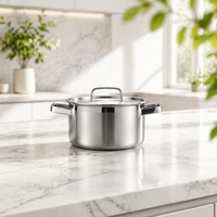 Marmite, Casserole et Faitout en Acier Inoxydable SUS304 Entièrement Revêtus, Sans Revêtement, Triple Couche, Multi-couches, pour Induction, Fabricant OEM
