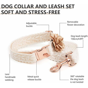 Collar de Boda Único para Perro Blanco con Hebilla de Metal Dorado Rosa y Correa para Perros Cumpleaños - Product Image 2