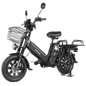 <span class=keywords><strong>Bicicleta</strong></span> eléctrica de 16 pulgadas, motor de cubo trasero de 750W, rango de 50km, batería de litio de 48V/60V, 3 sensores de velocidad, entrega de alimentos inteligente, Ebike Scooter - Product Image 1